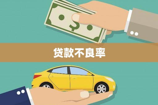 安宁贷款不良率