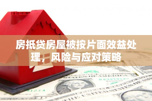 鹿泉房抵贷房屋被按片面效益处理，风险与应对策略
