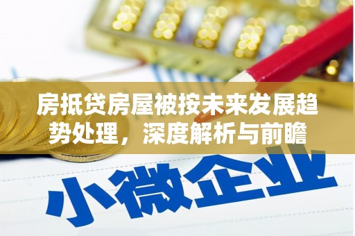洪山房抵贷房屋被按未来发展趋势处理，深度解析与前瞻